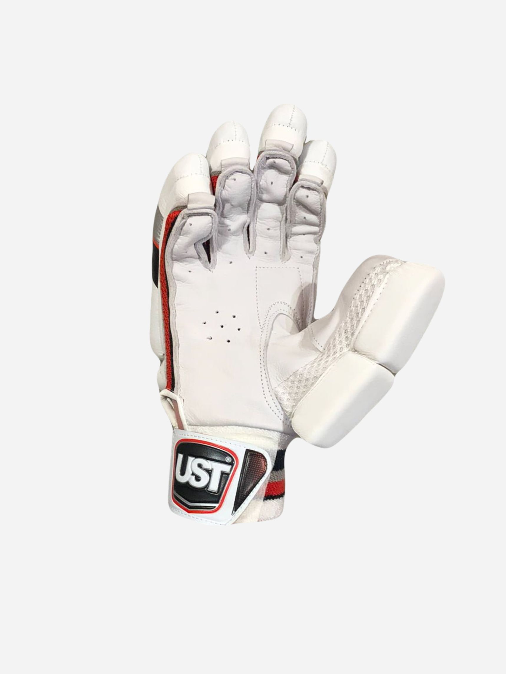 TEST BATTING GLOVES - Image 3